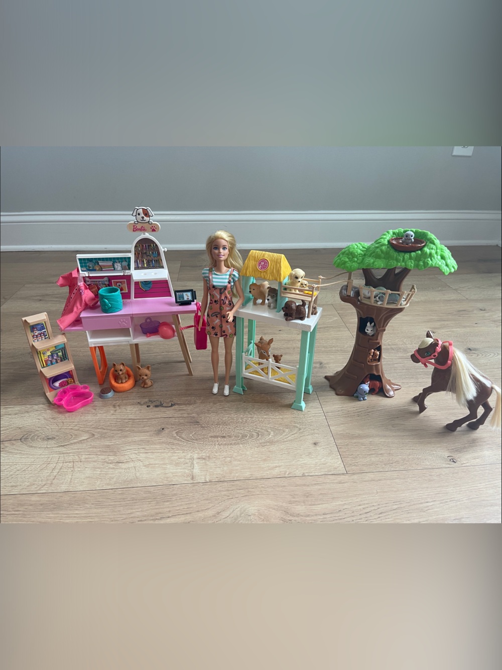 Barbie Vet and Animal Play Set, with Pink and Teal Accessories